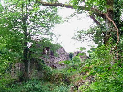 Blick auf den Palas der Mittelburg