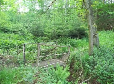 Plotzschgrund
