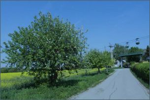 Loren am Ortsrand von Nußloch