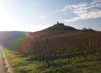 Michaelsberg_LB_1.jpg