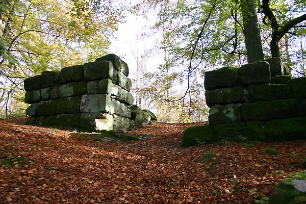 ruine-heidelsburg.jpg