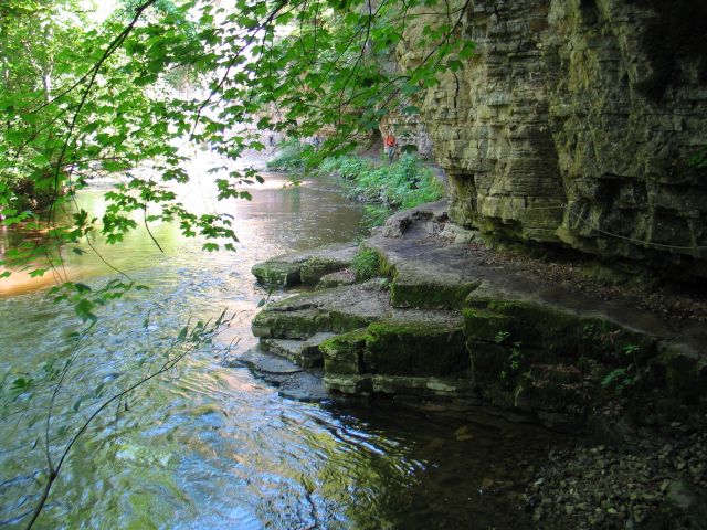 In der Wutachschlucht.jpg