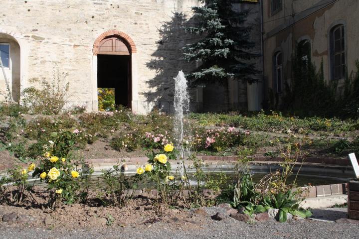 Das Geheimnis der drei Rosen.JPG