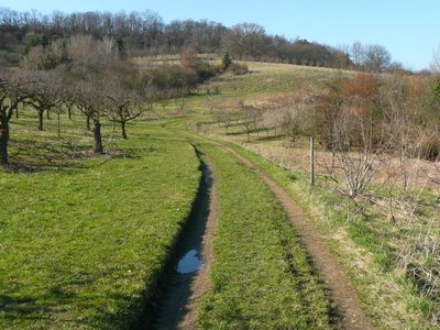 Am Rabenkopf