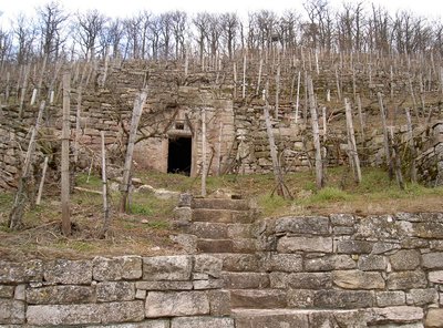 Unterstand im Weinberg