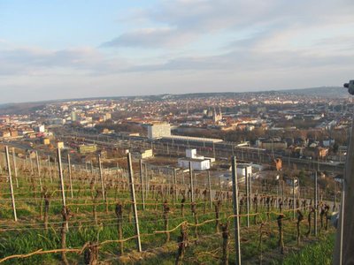 Blick auf Würzburg