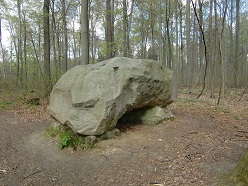 Elm - Goldener Hirsch.JPG