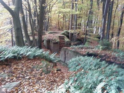 maiblumenfels.jpg