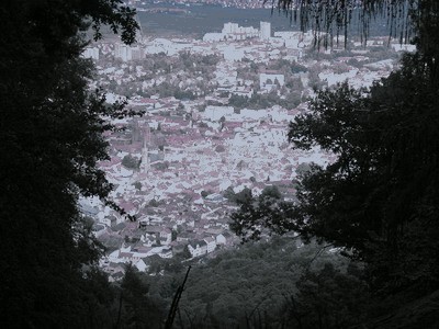 Ausblick auf Neustadt