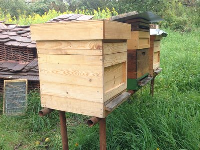 Bienenbehausung.JPG