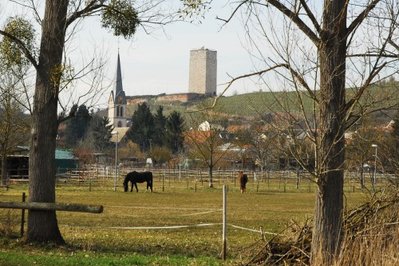 Schwabsburg mit Schlossturm