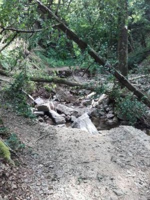 Binger Wald -Talweg.jpg