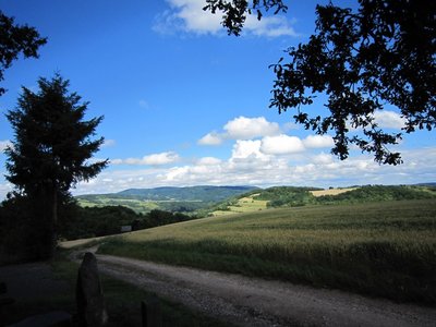 Blick zum Donnersberg a.jpg