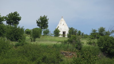 Flonheimer Trullo