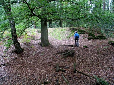 La Redoute im Bienwald