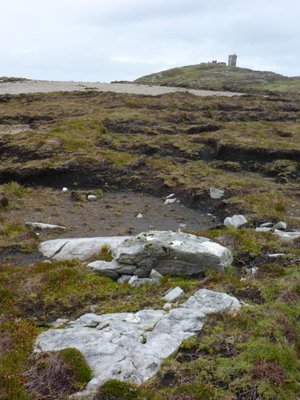 MalinHead1.JPG