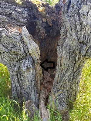 20180508_101533.jpg