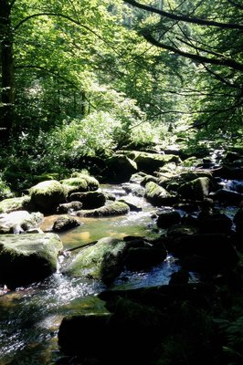 Saußbachklamm