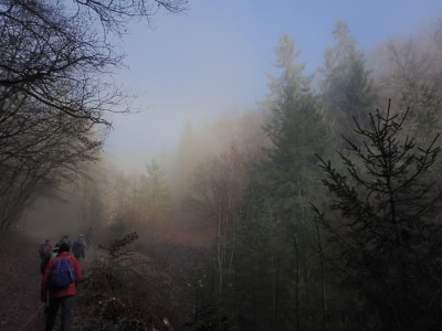 P1061538.JPG (180.15 KiB) 7297 mal betrachtet Nebelschwaden