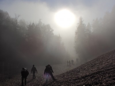 P1061552.JPG (122.88 KiB) 8981 mal betrachtet Gegenlichtaufnahme