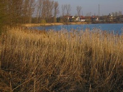 Silbersee.JPG