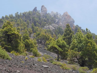 Campanarios der Vulkanschlote des Volcan Tajuya