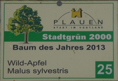 fehlendes Schild.jpg