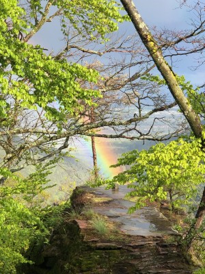 Regenbogen über dem Frankfelsen