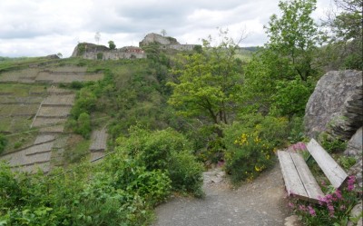 Die Saffenburg von Osten aus gesehen