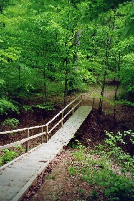 Treppe zu den Sternen