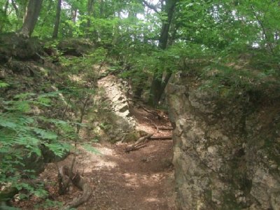 Eingang zur Schlucht