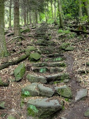 Die Himmelsleiter zum Königstuhl.