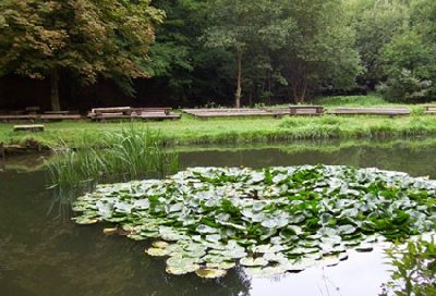 felsenweiher.jpg