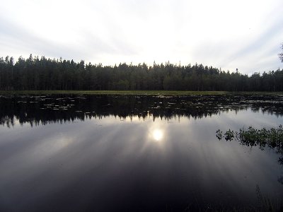 Varaskruvsjön