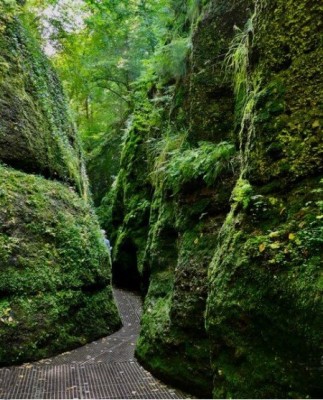 In der Drachenschlucht