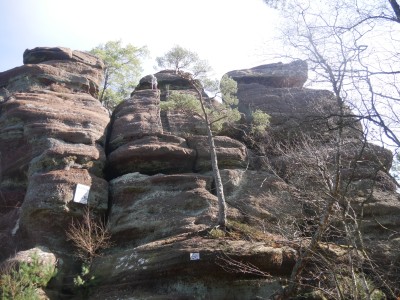Altfels