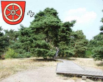 Frankfurt II - Stadtdünen - Letterbox