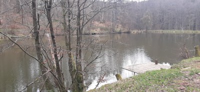 20250323_122803.jpg
