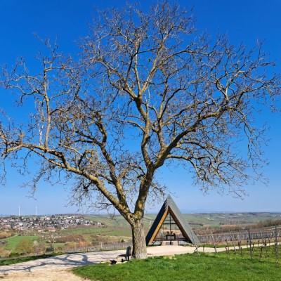 Zornheim.jpg