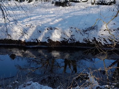 20260111_125701.jpg