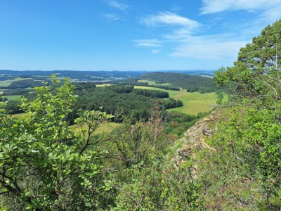 Blick vom Hörselberg.jpg