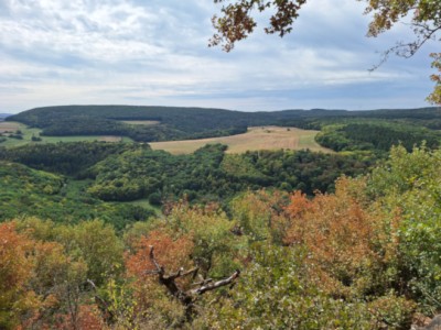 Blick von der Liebesbank.jpg