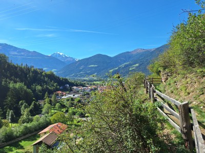 Blick vom Griggwaal auf Schluderns und die Ortlergruppe.jpg