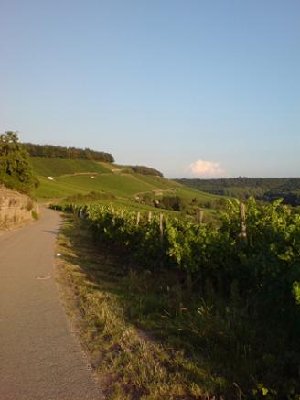 Blick auf das Derdinger Horn